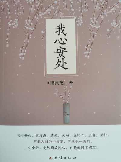 《我心安处》
