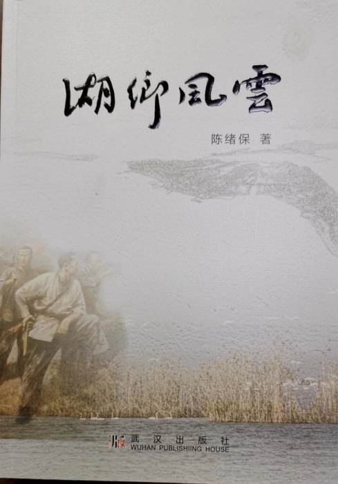 《湖乡风云》封面