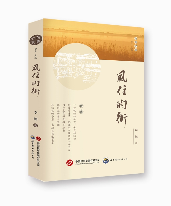 《风住的街》封面
