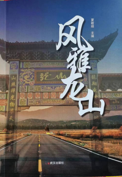 《风雅龙山》封面