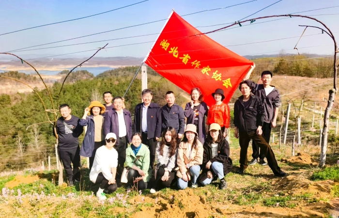 微信图片_20230314111031