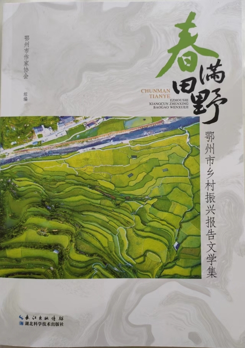 《春满田野》封面