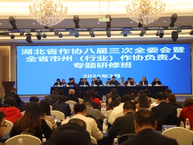 
                湖北省作协举办八届三次全委会暨市州（行业）作协负责人贯彻落实习近平总书记考察湖北重要讲话精神研修班