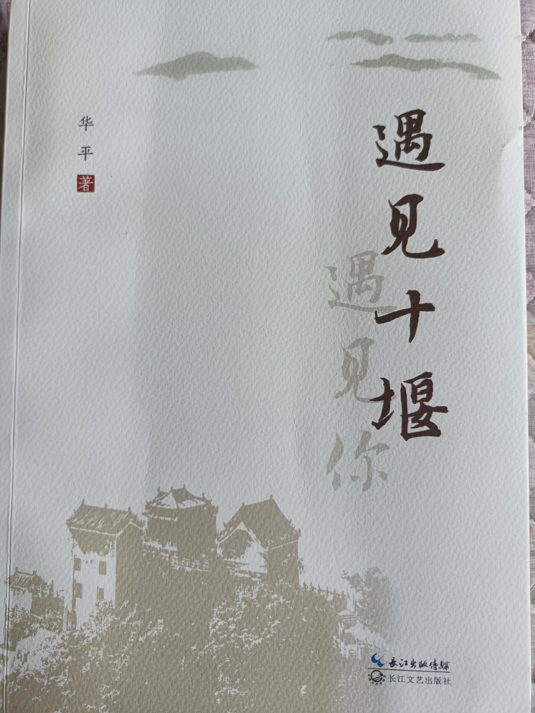图片1
